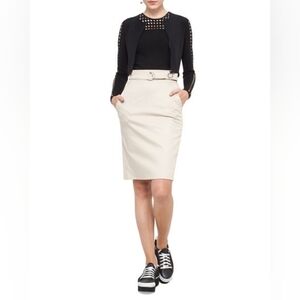 AKRIS PUNTO & Bergdorf Goodman Pinstripe Belted Pencil Skirt, Size 2